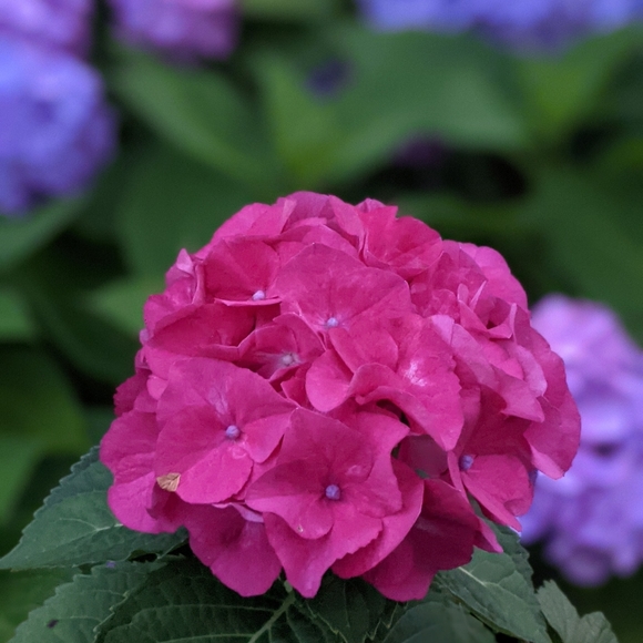 Unlisted J.Crew & Andie NWT Swim Inventory - Picture 1 of 1